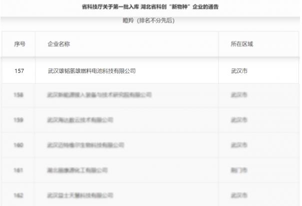 武漢雄韜氫雄進入湖北省科技創新“新物種”企業名單，被評為“瞪羚企業”.jpg